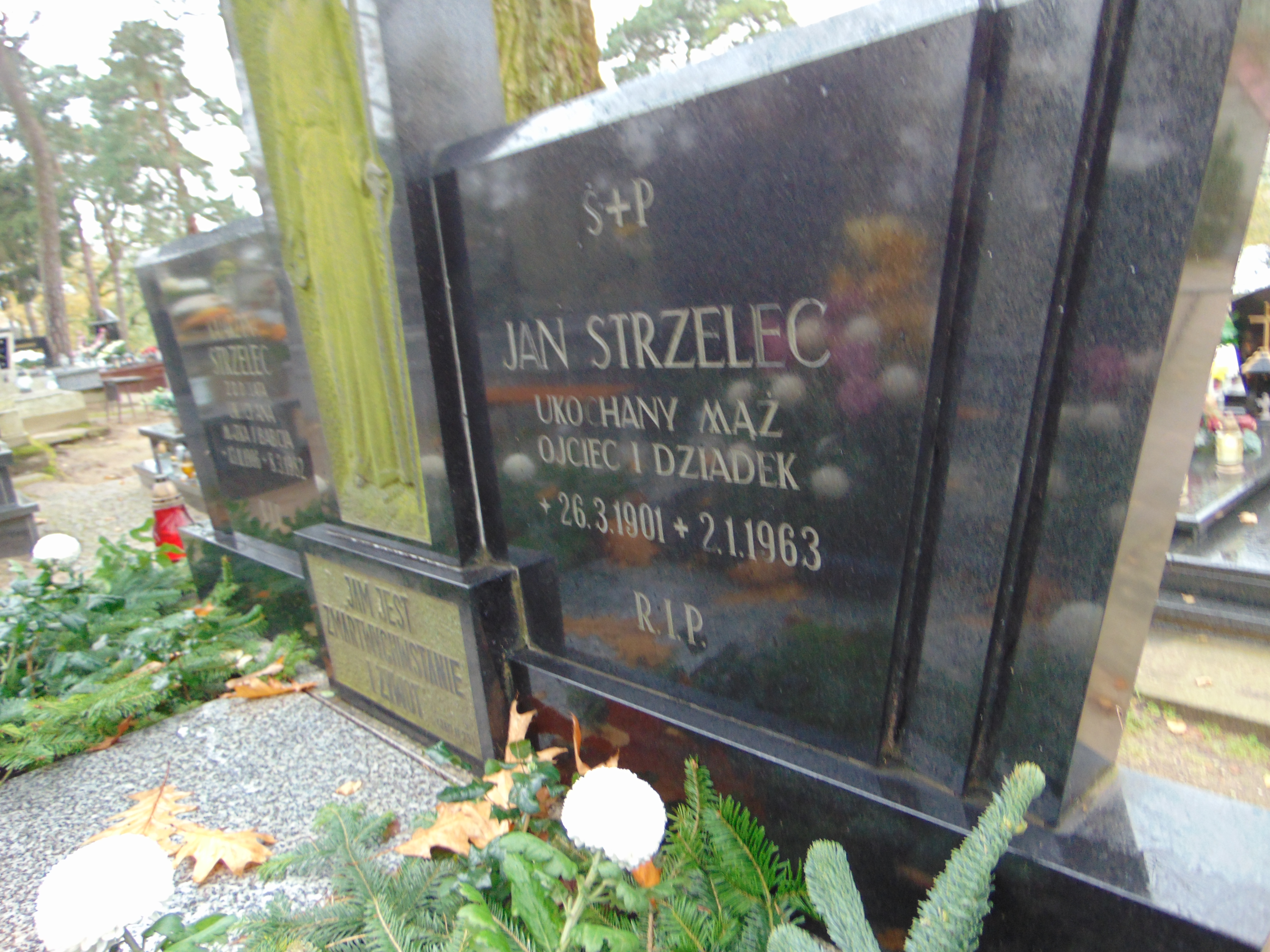Jan Strzelec 1901 Mikstat - Grobonet - Wyszukiwarka osób pochowanych