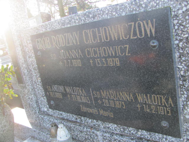 Marianna Walotka 1873 Mikstat - Grobonet - Wyszukiwarka osób pochowanych