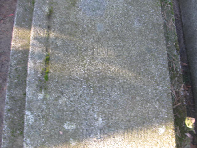 Stanisława Kulesza 1875 Mikstat - Grobonet - Wyszukiwarka osób pochowanych